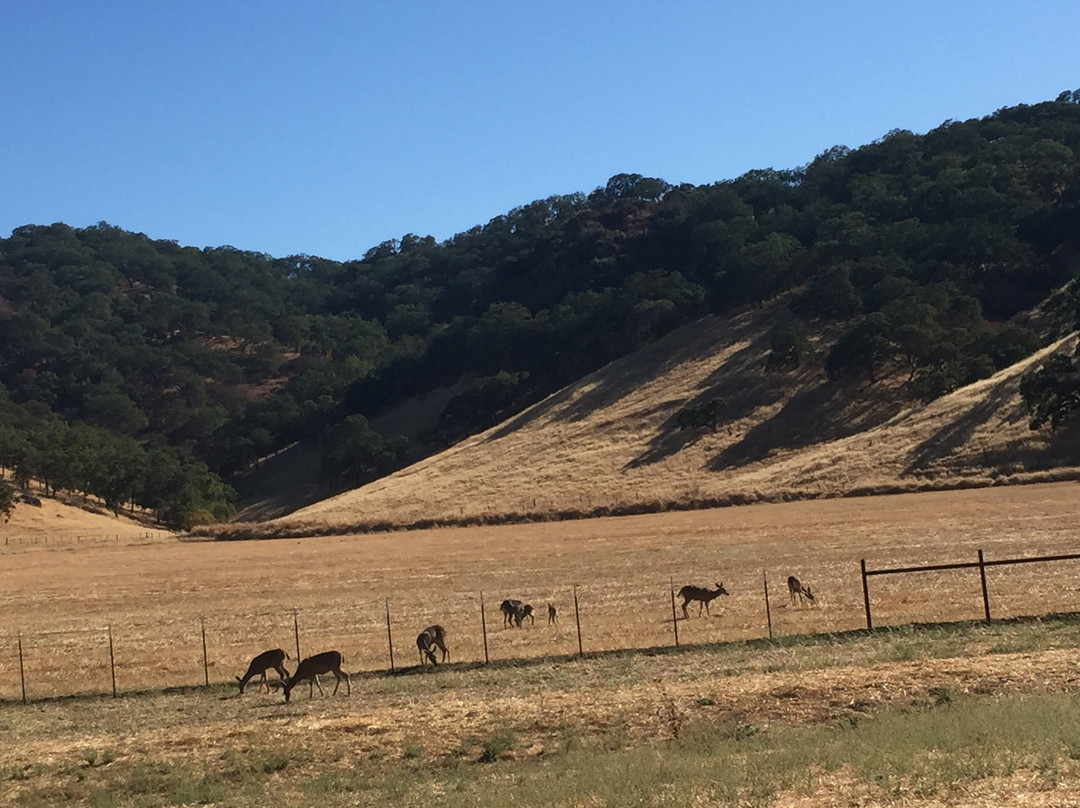 Coyote Valley Sporting Clay景点图片