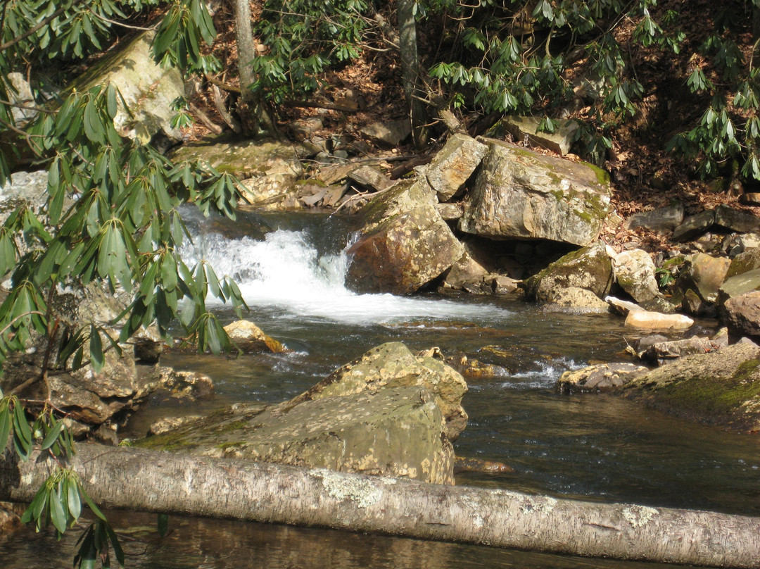 Cascade Falls景点图片