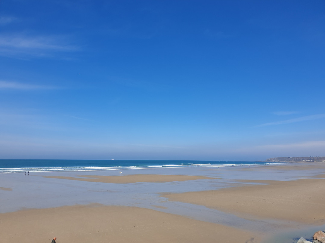 The Surfyard-泽西岛必去景点