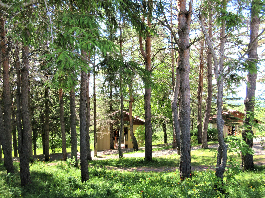 Camp Musical du Saguenay-Lac-St-Jean