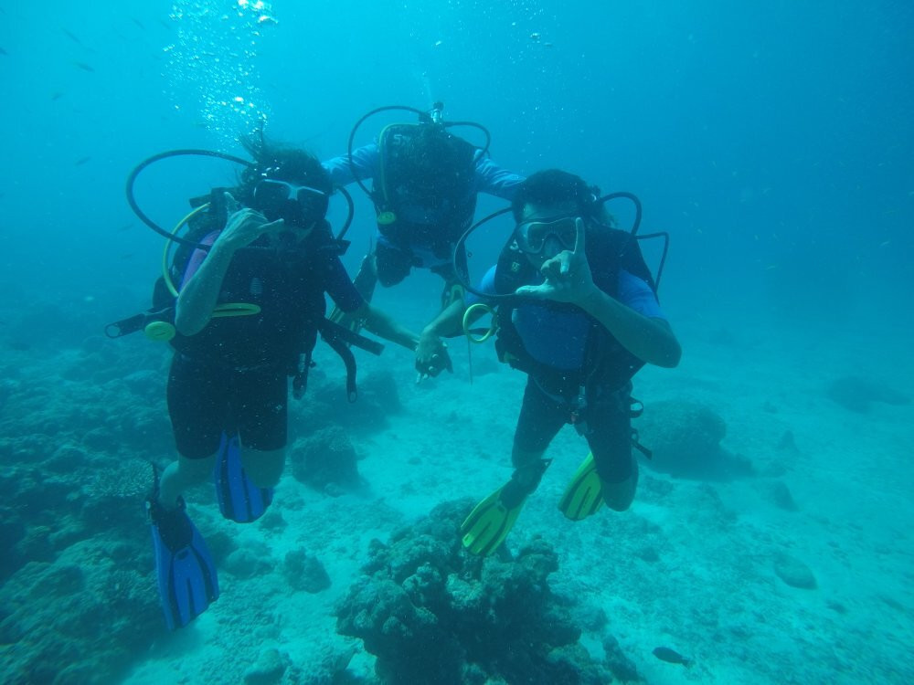 Scuba Yogi景点图片