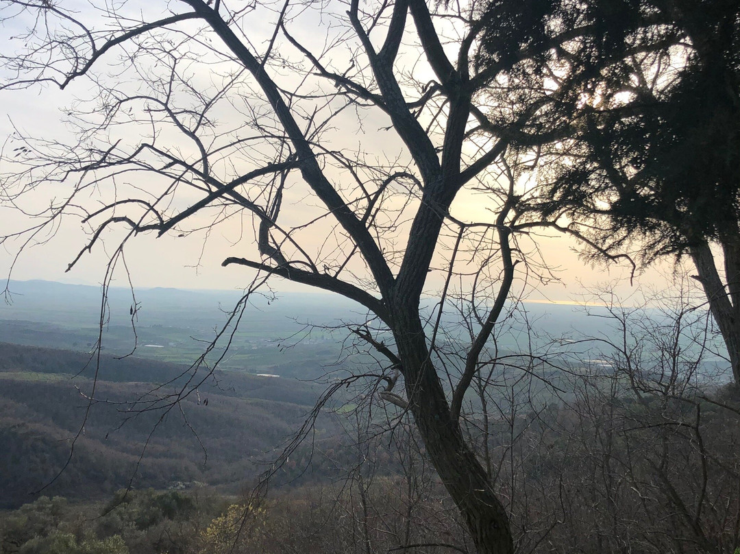 Monastero di Ardenica