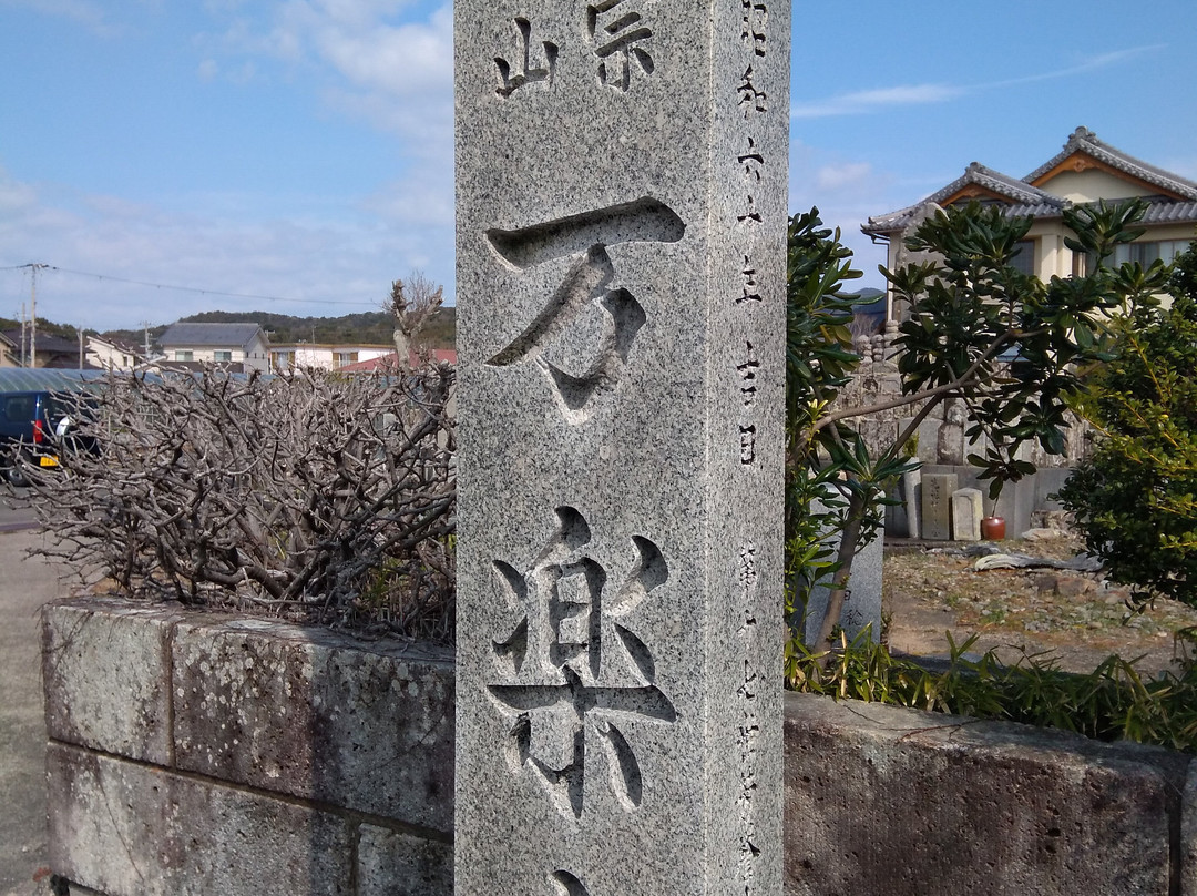 Maidenhair Tree of Manraku-ji Temple-御坊市必去景点