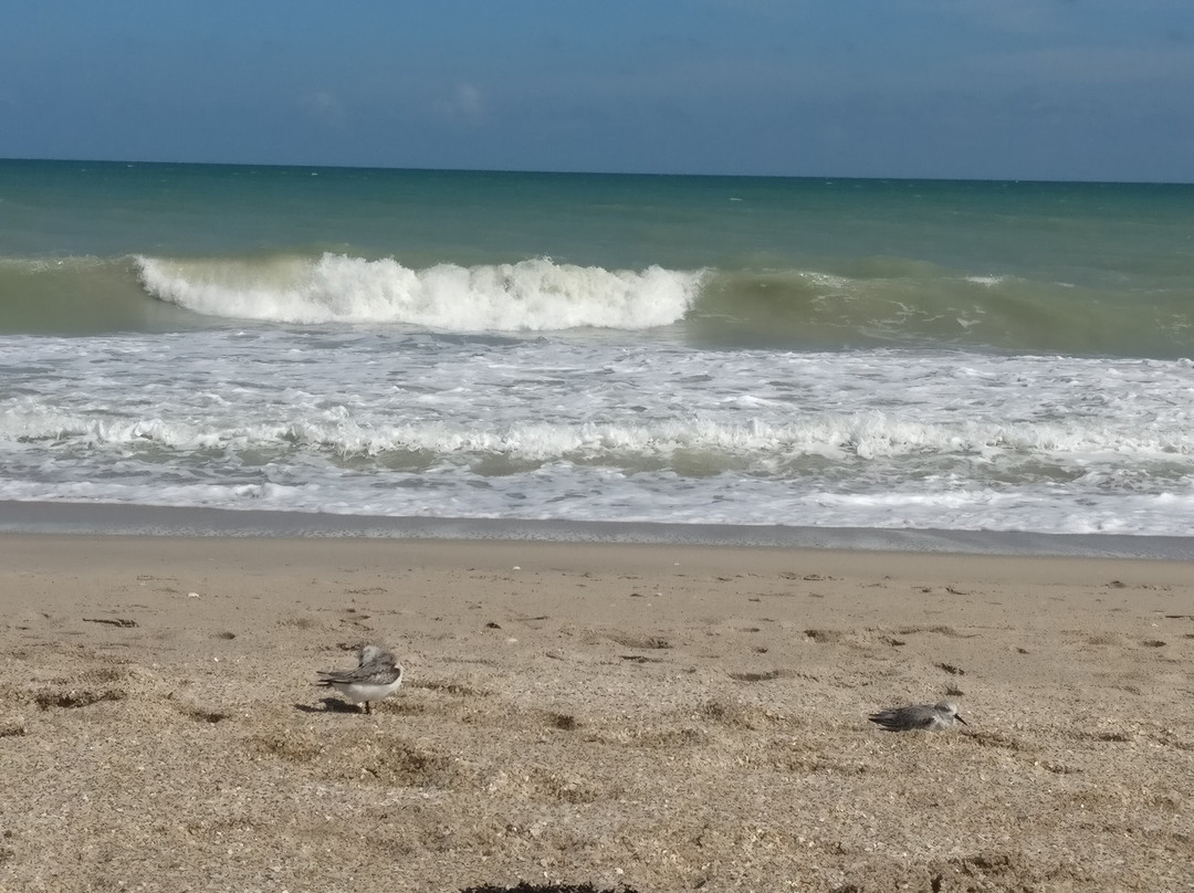 迪士尼维罗海滩度假酒店主图