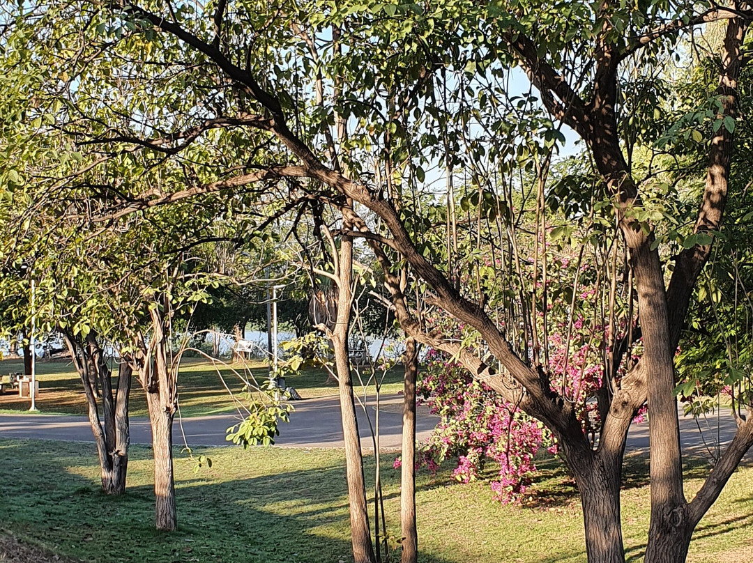 Parque de la Riberas-Culiacan必去景点