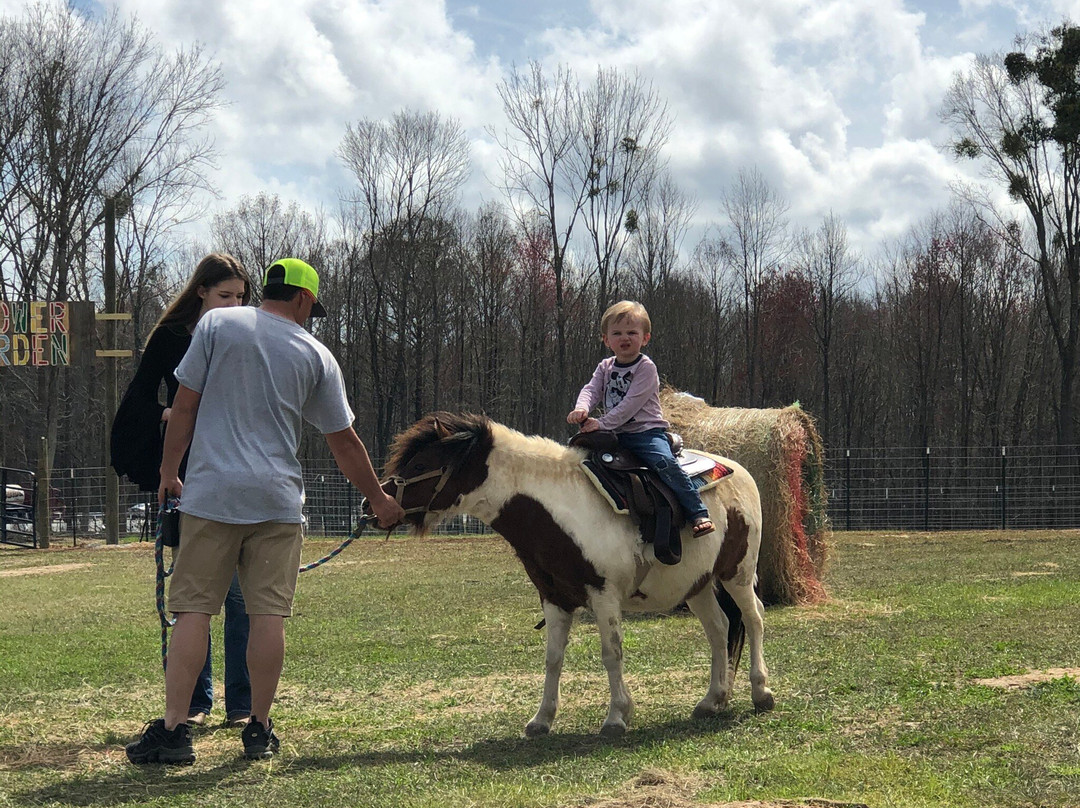 Georgia Peach World-Townsend必去景点