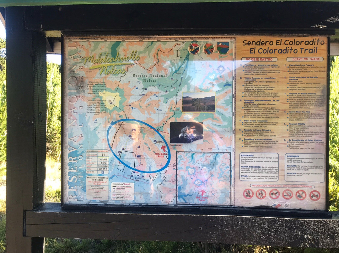 Reserva Nacional Malalcahuello - Nalcas景点图片
