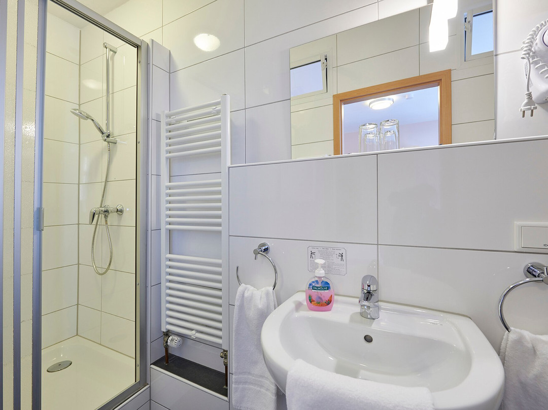 Hotel Zum Grunewald主图