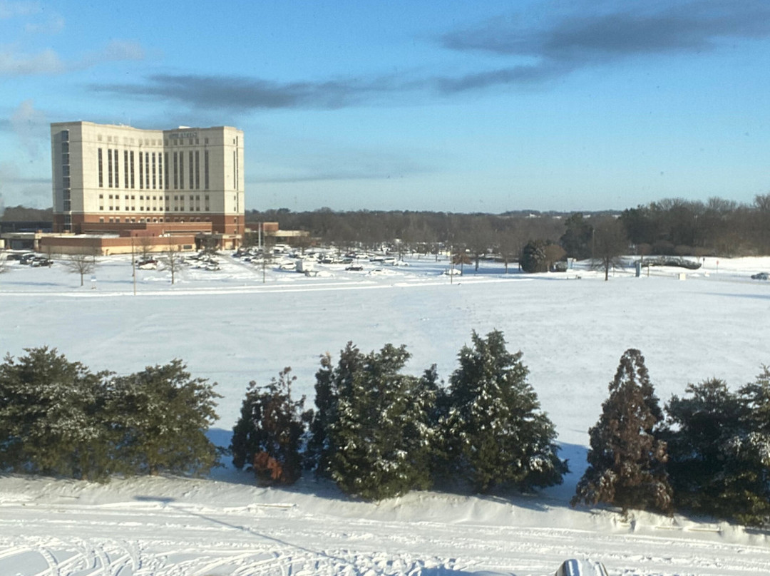 Holiday Inn Express & Suites Southaven Central - Memphis by IHG主图