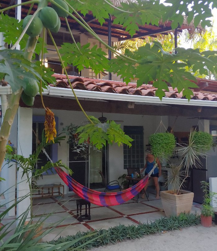 Togo Bed and Breakfast主图