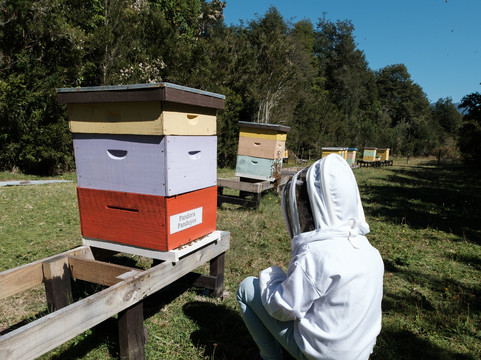 Raymapu Mieles De La Patagonia-Puelo必去景点