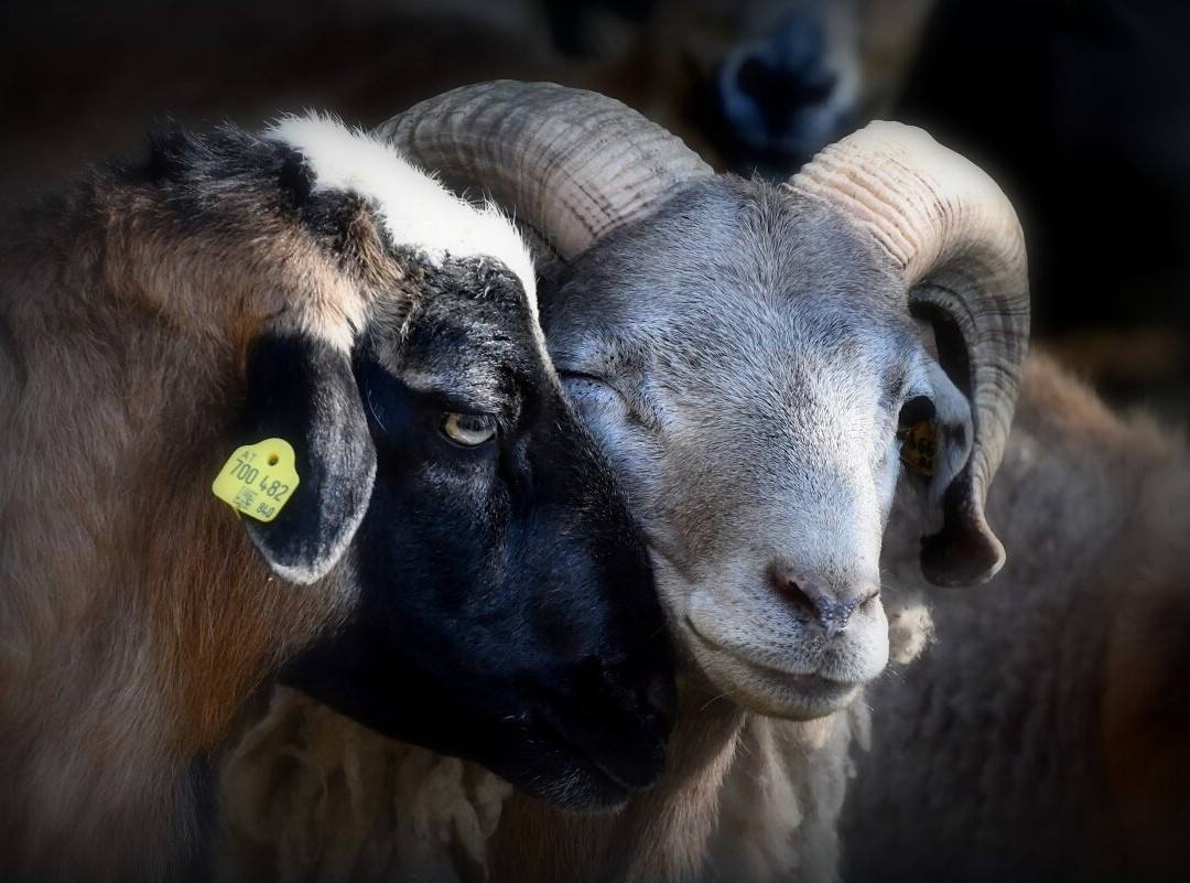 Waldpark Hochreiter-Breitenau必去景点