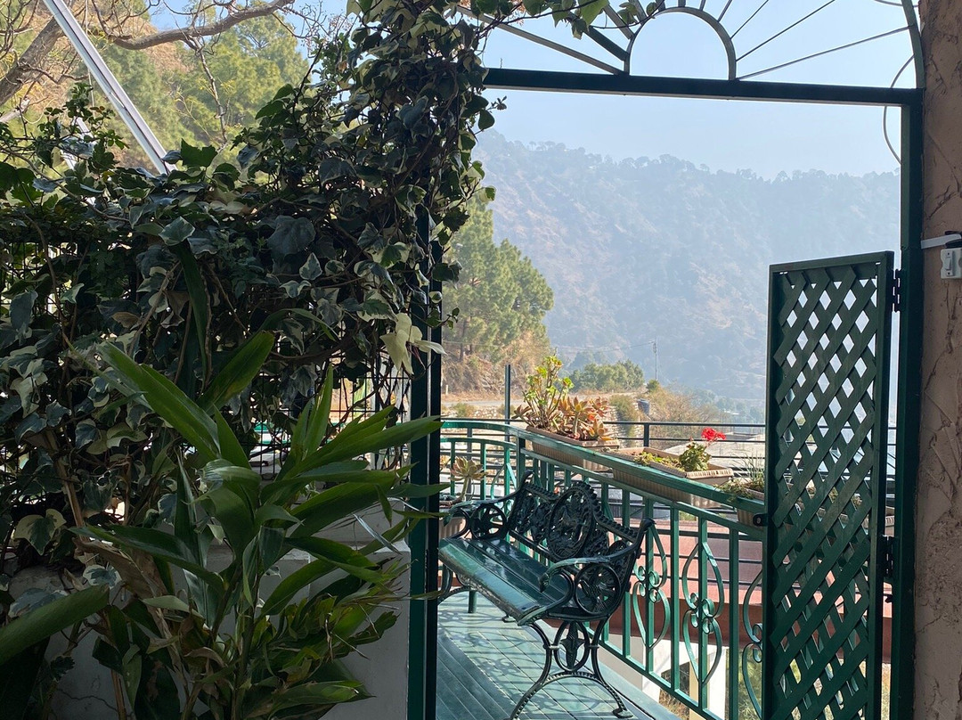 Birds View Kasauli主图