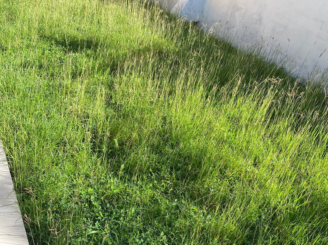 Villas Creoles