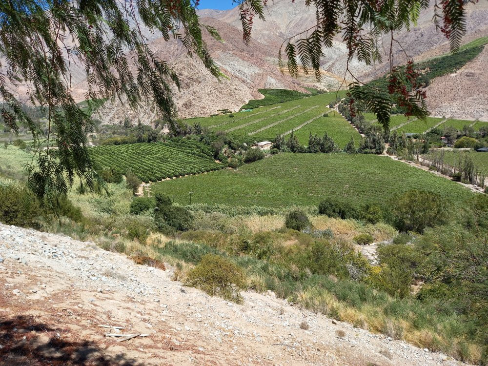 Pueblo Artesanal de Horcon-Pisco Elqui必去景点