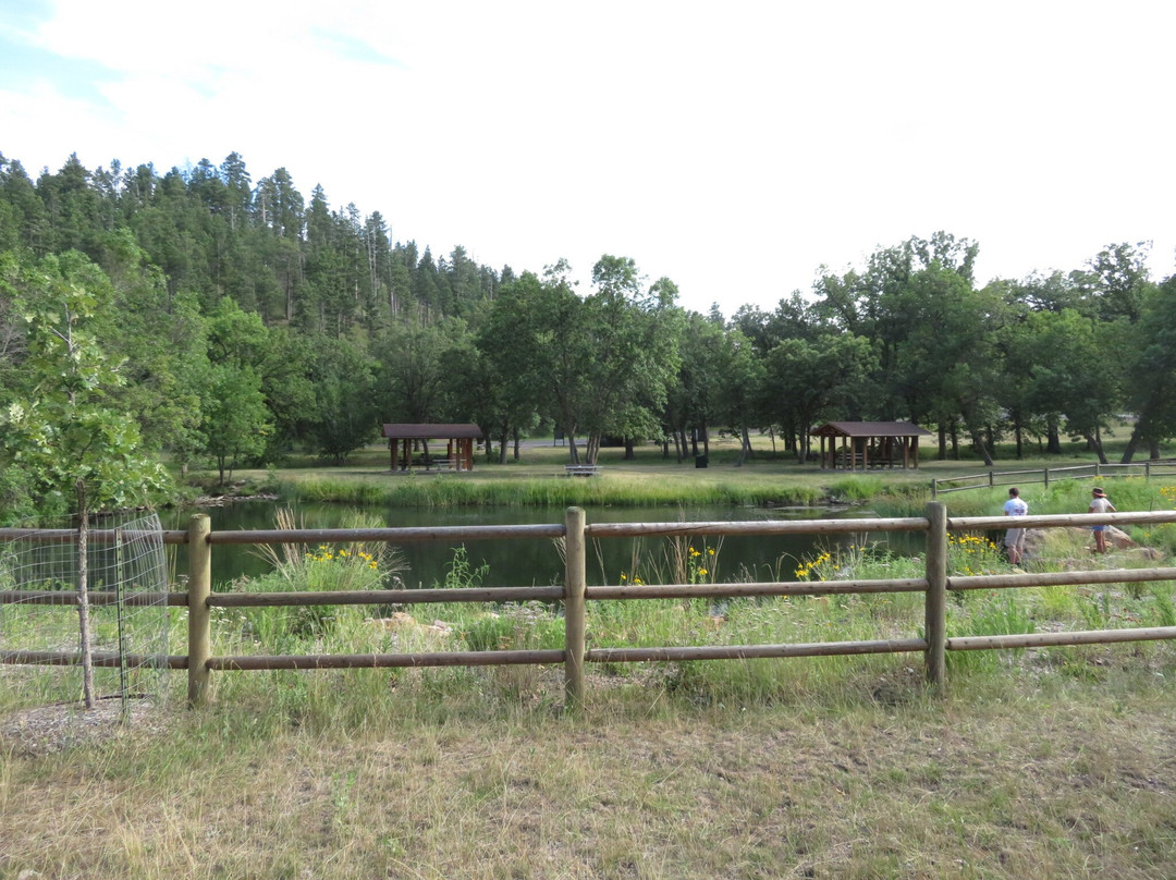 Custer State Park Visitor Center景点图片