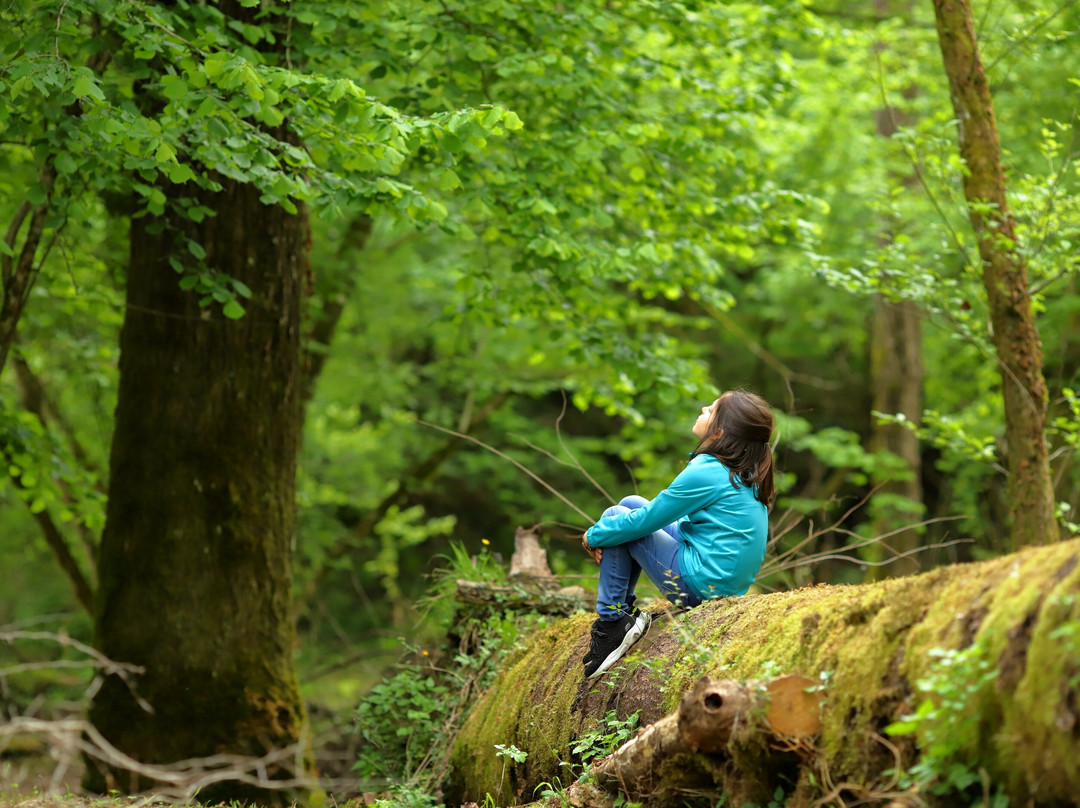 Kids Forest-Bagni di Lucca必去景点