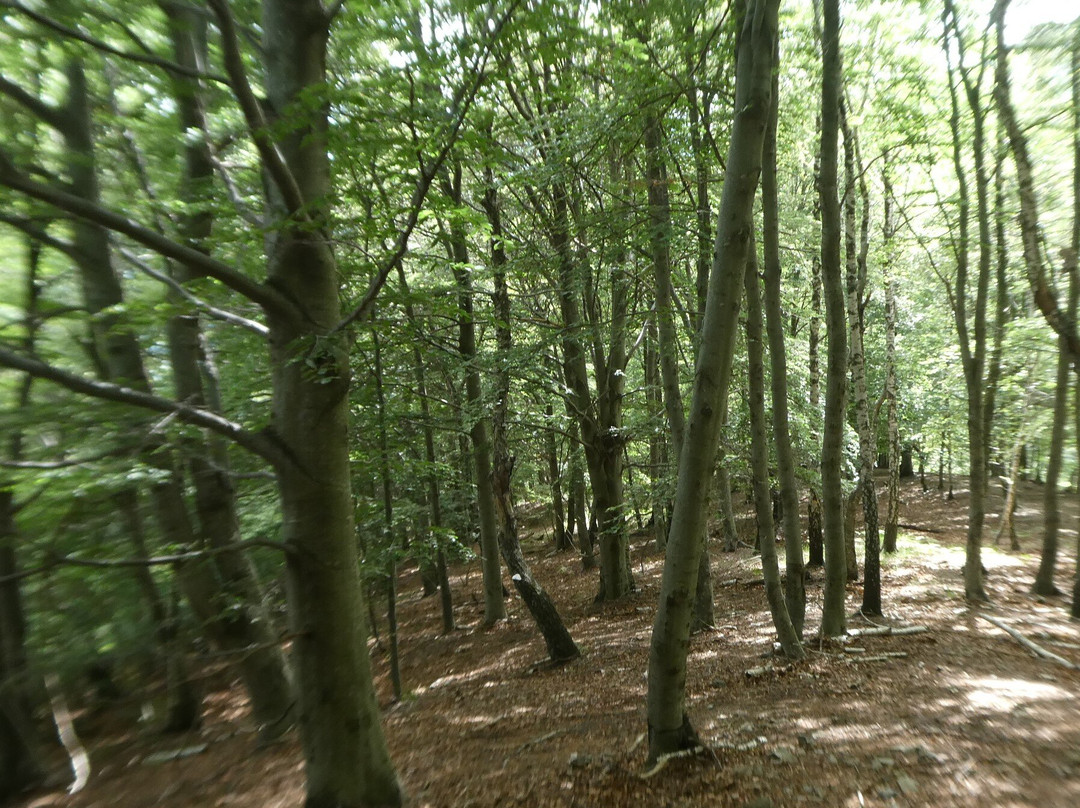 Monte Gambarogno-Indemini必去景点