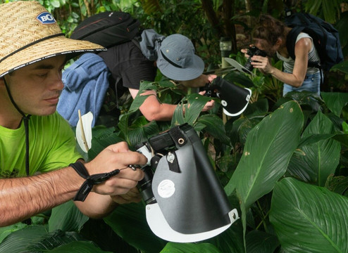 Aussie Macro Photos-凯恩斯必去景点