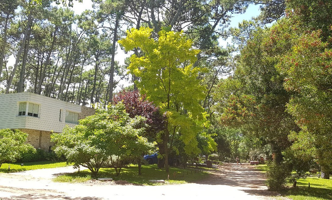 Reserva Natural-Carilo必去景点