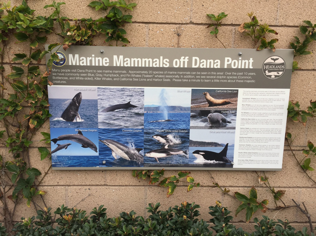 Veterans Memorial Park-德纳角必去景点