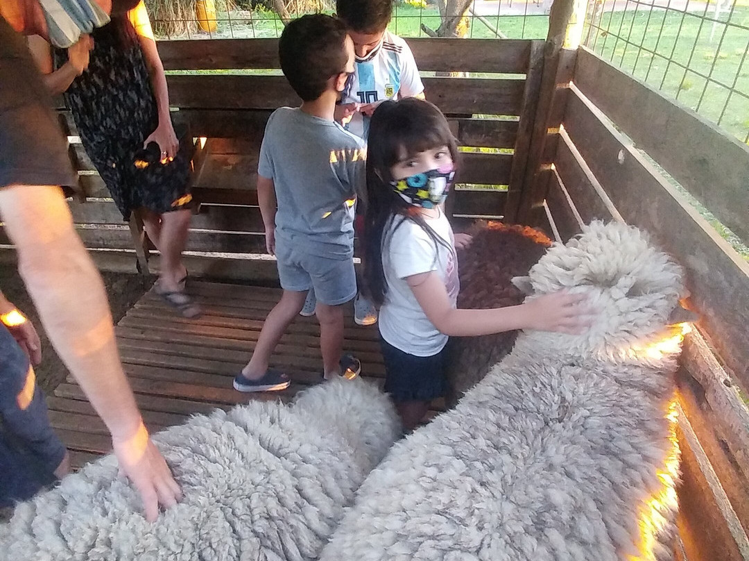 三位一体乡村民宿主图