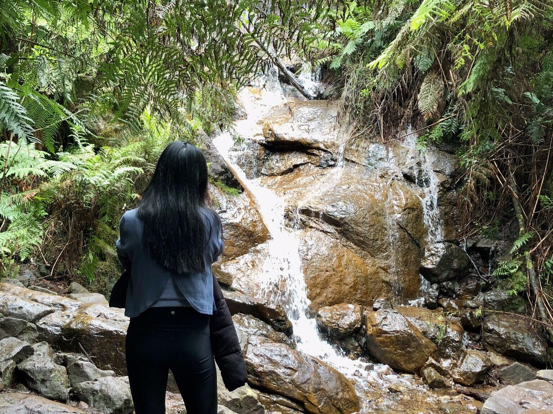 La La Falls-华伯登必去景点