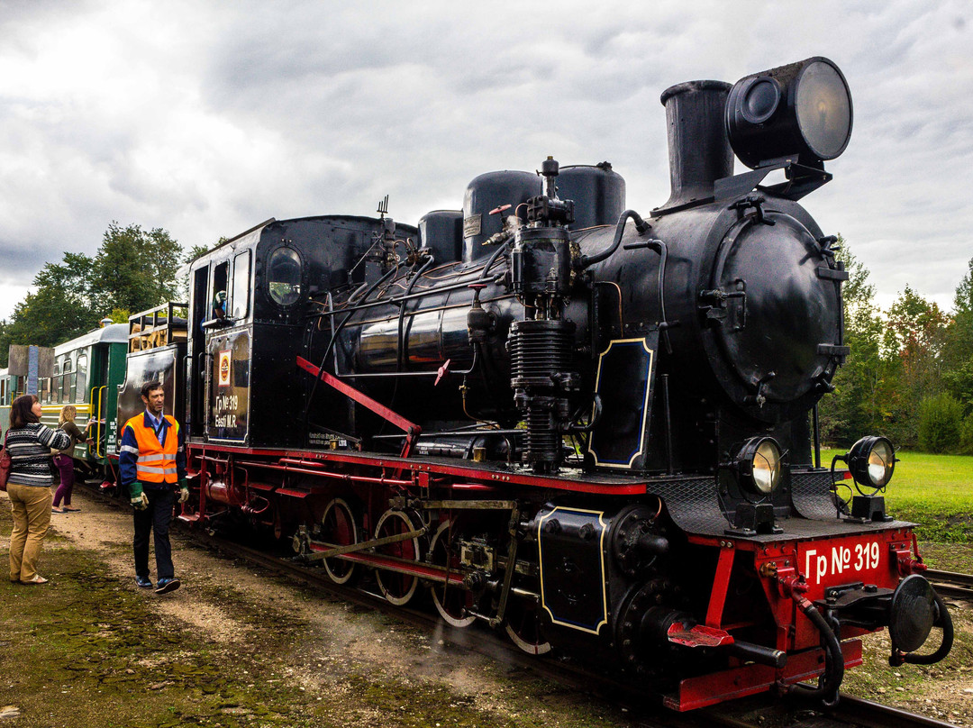 Gulbene Aluksne Narrow Gauge Railway景点图片