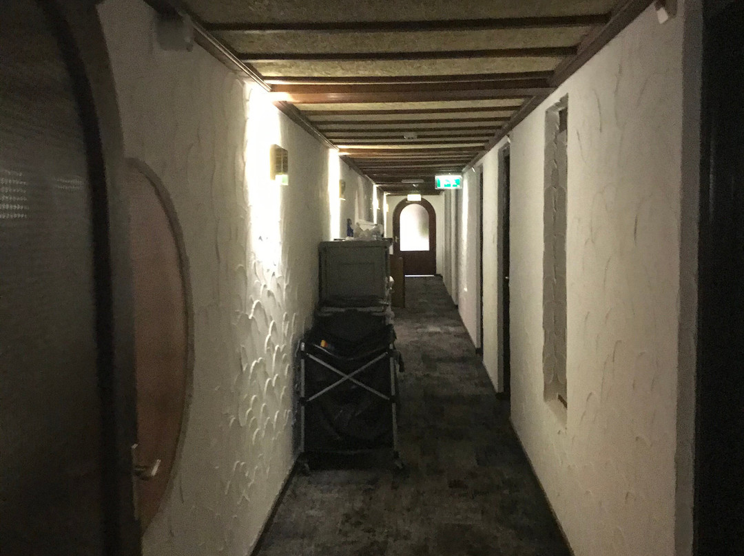 Fletcher Hotel-Restaurant De Witte Brug主图