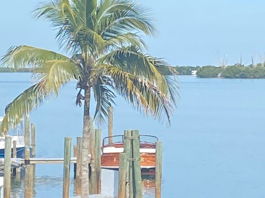 Fish-Tale Marina-迈尔斯堡海滩必去景点