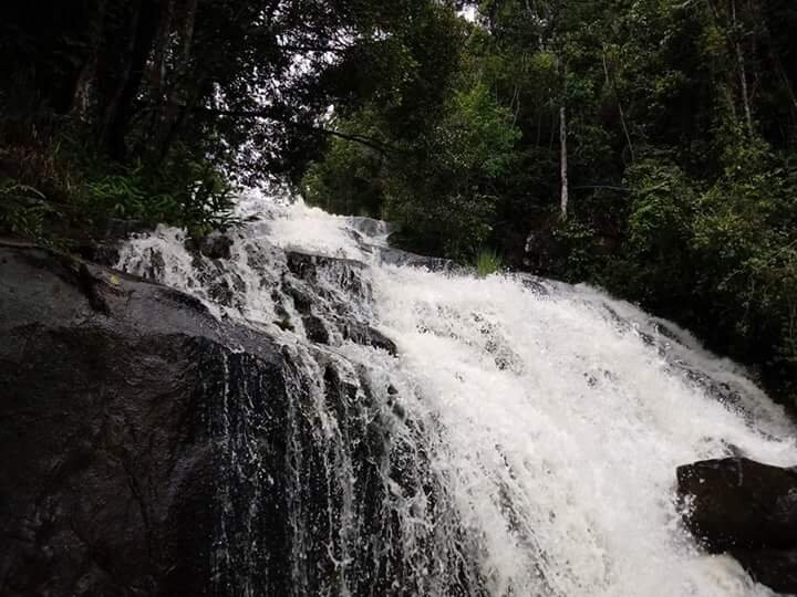 Cachoeira das Palmeiras景点图片