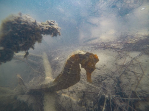 VEM PRA JERI-杰里科科拉必去景点