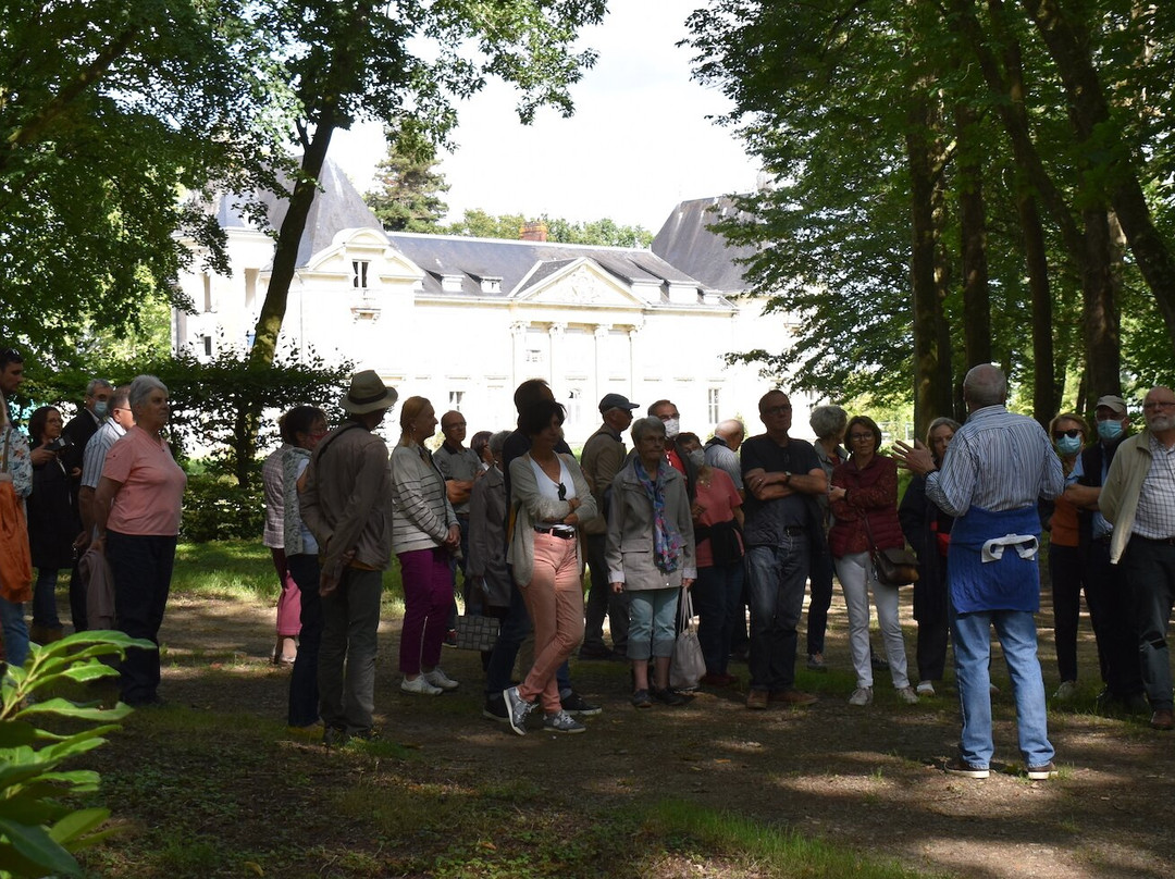 Nort-sur-Erdre旅游攻略图片
