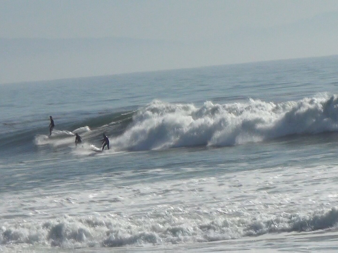 Pleasure Point Beach-圣克鲁斯必去景点