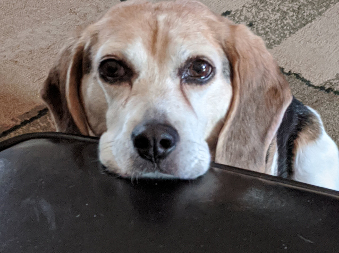 The 1810 Juliand House Bed And Breakfast主图