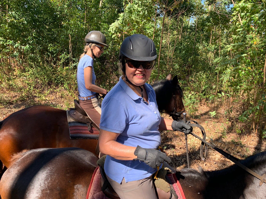 Plateau Stables-桑巴必去景点