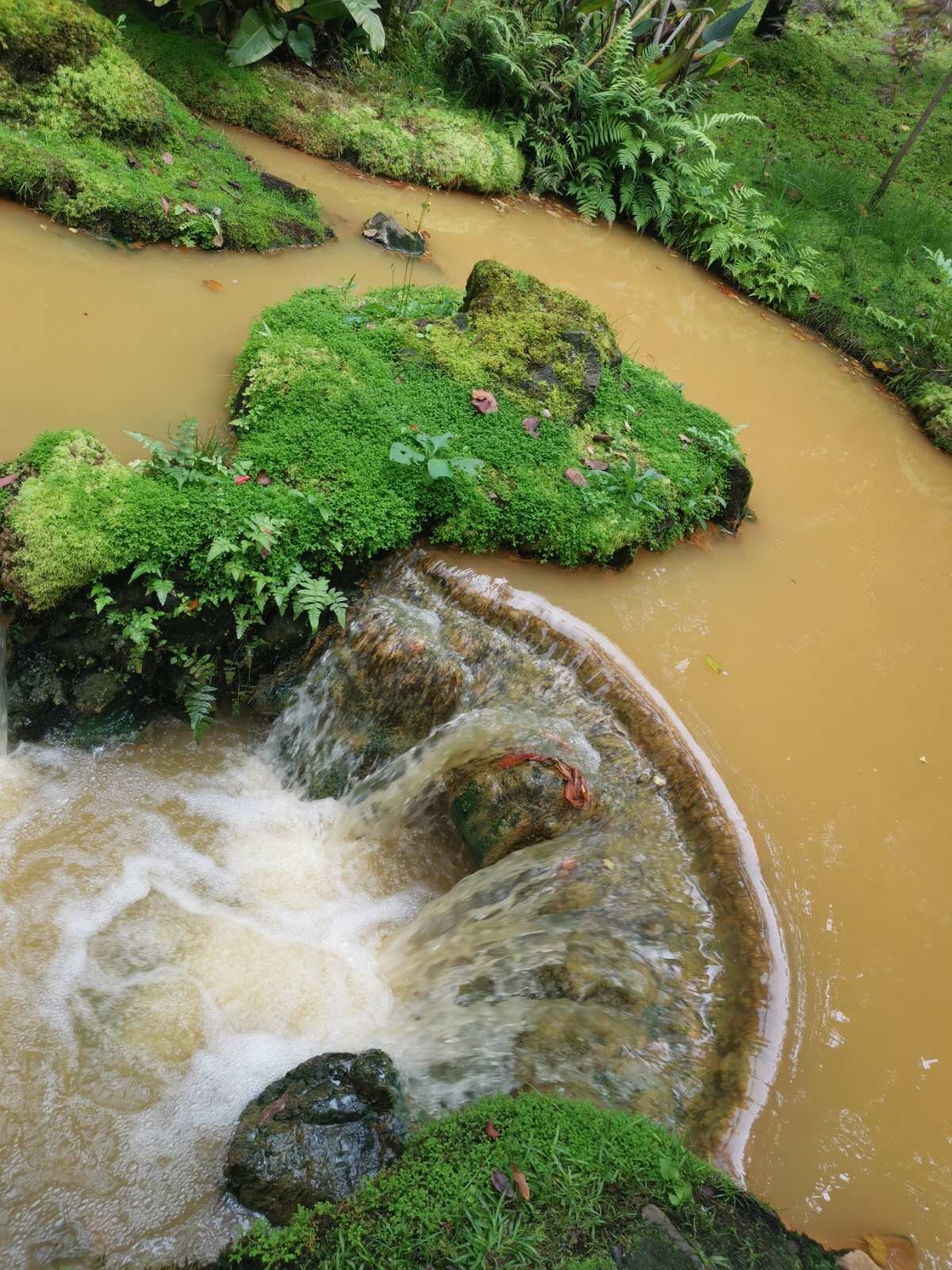 Terra Nostra Garden Hotel-泳池