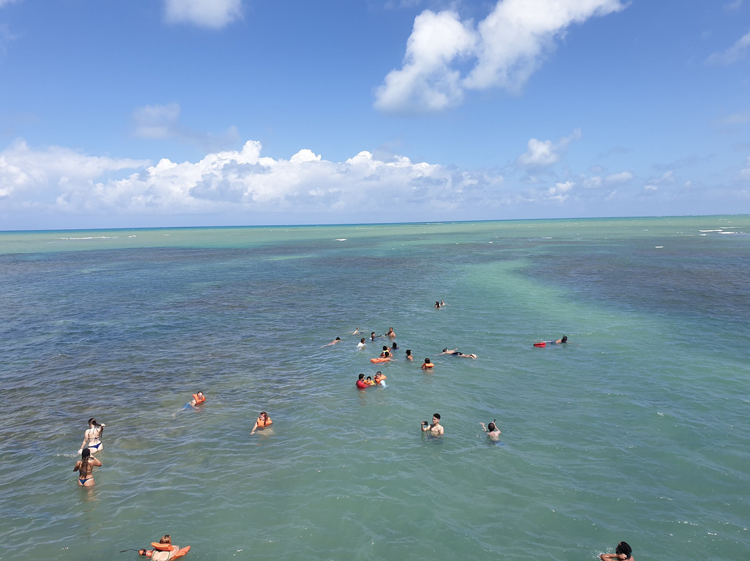 Pirata Passeios-Joao Pessoa必去景点
