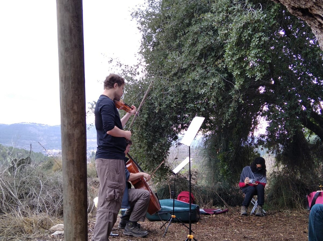 Tour de Sound-耶路撒冷必去景点