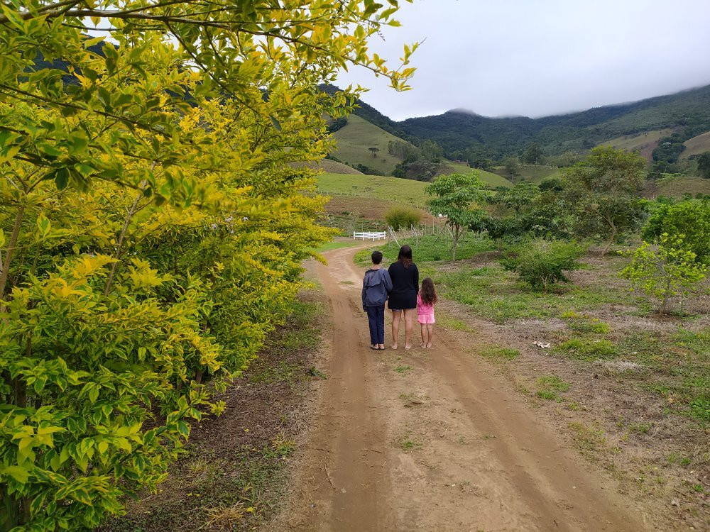 Quinta Do Papagaio主图