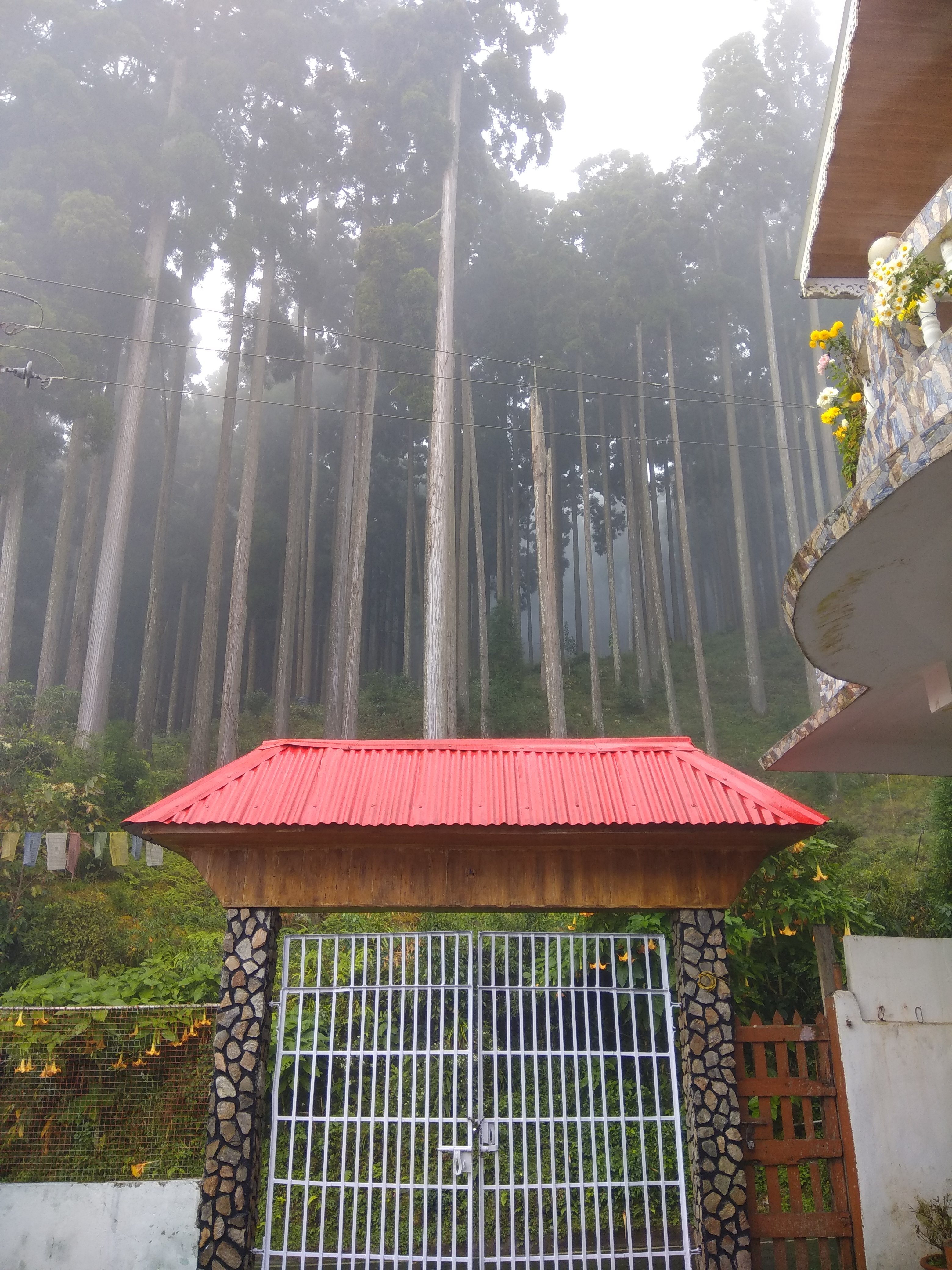 Everest Hut Homestay-官方