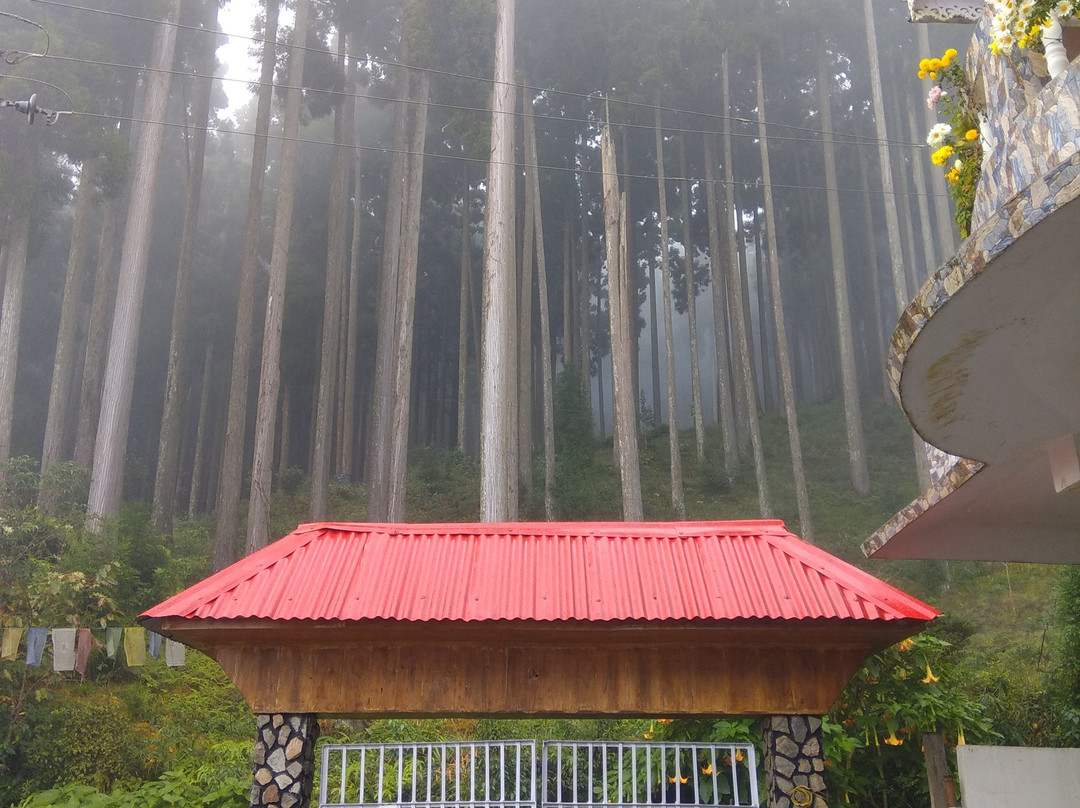 Everest Hut Homestay主图
