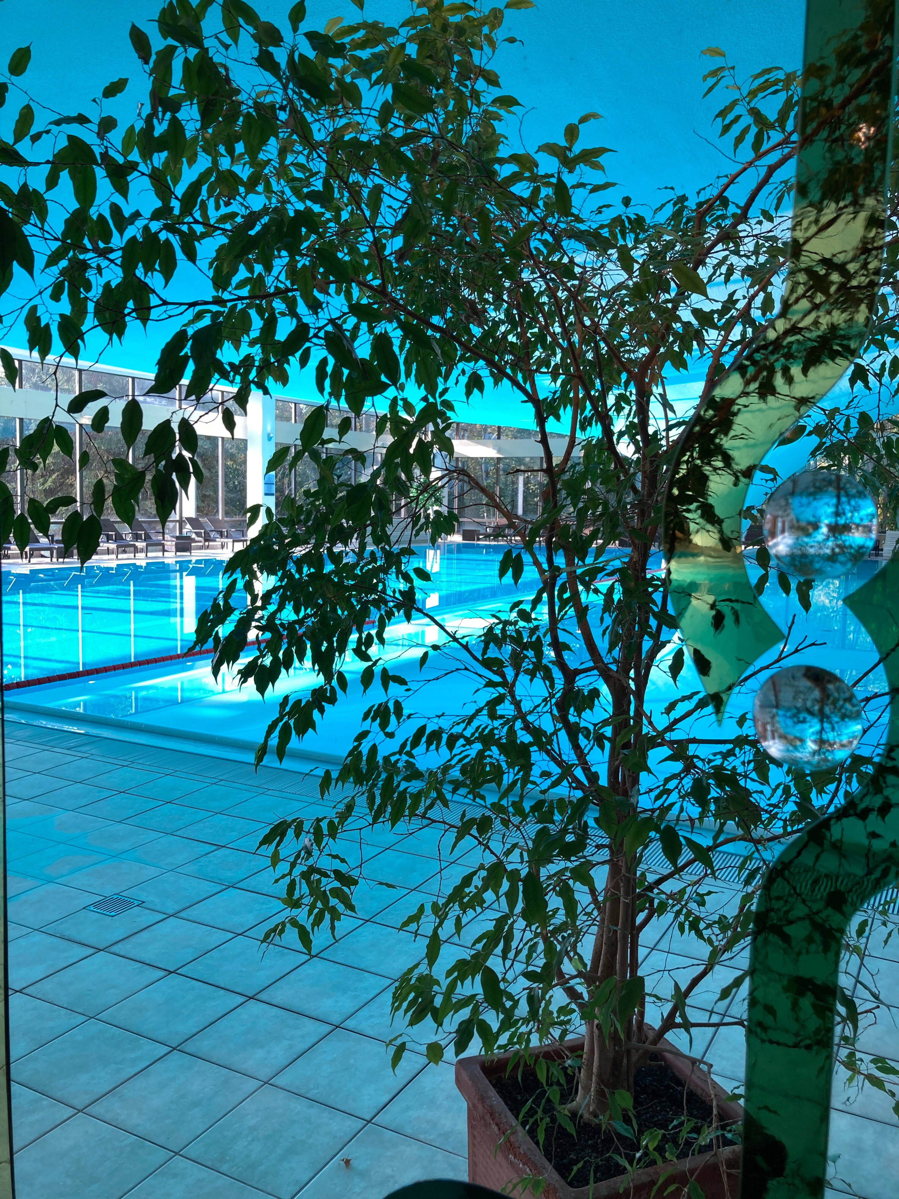 Cliff Hotel Rugen-泳池