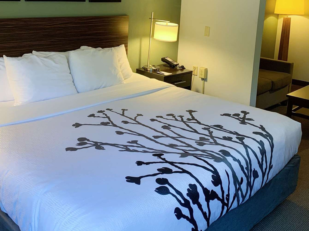 Sleep Inn & Suites Queensbury - Lake George主图