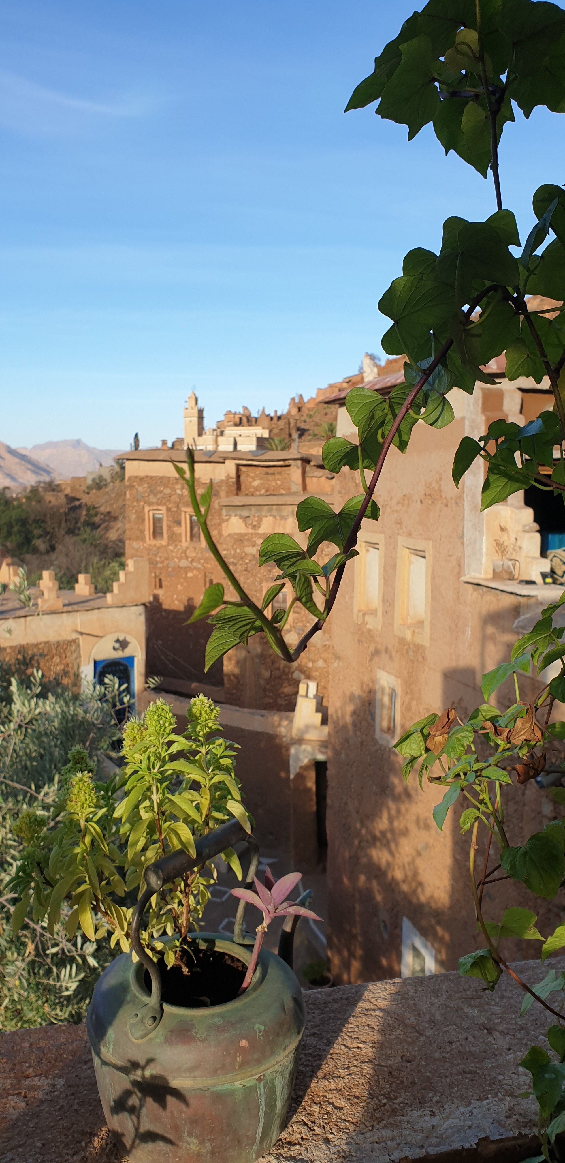 La Maison Traditionelle-官方