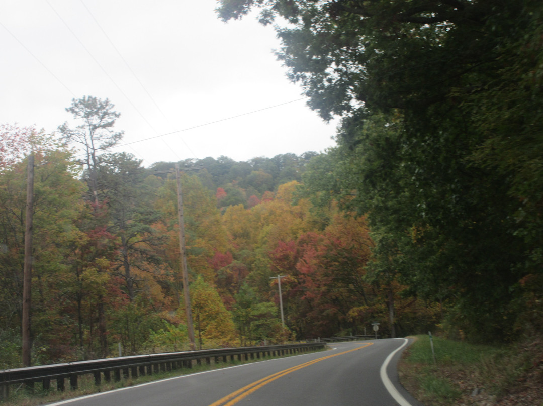 Green Ridge State Forest-Flintstone必去景点