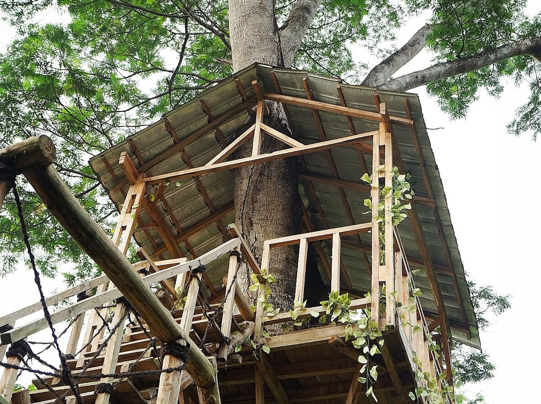 Harper Purwakarta主图