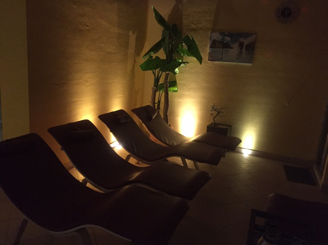 WPS Wellness and Private Spa景点图片