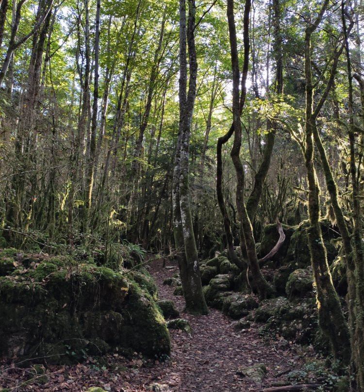 Le Labyrinthe Vert Nebias-Nebias必去景点