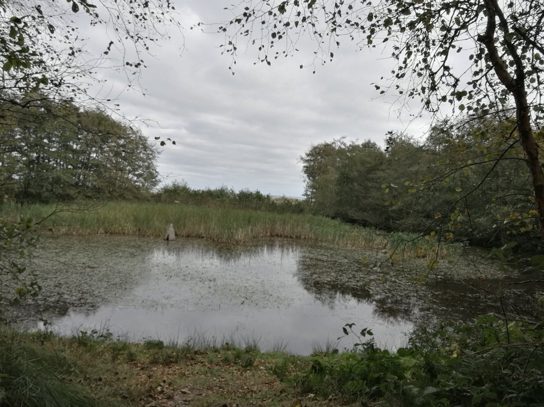 Sonderho Gl. Fuglekoje-法诺必去景点